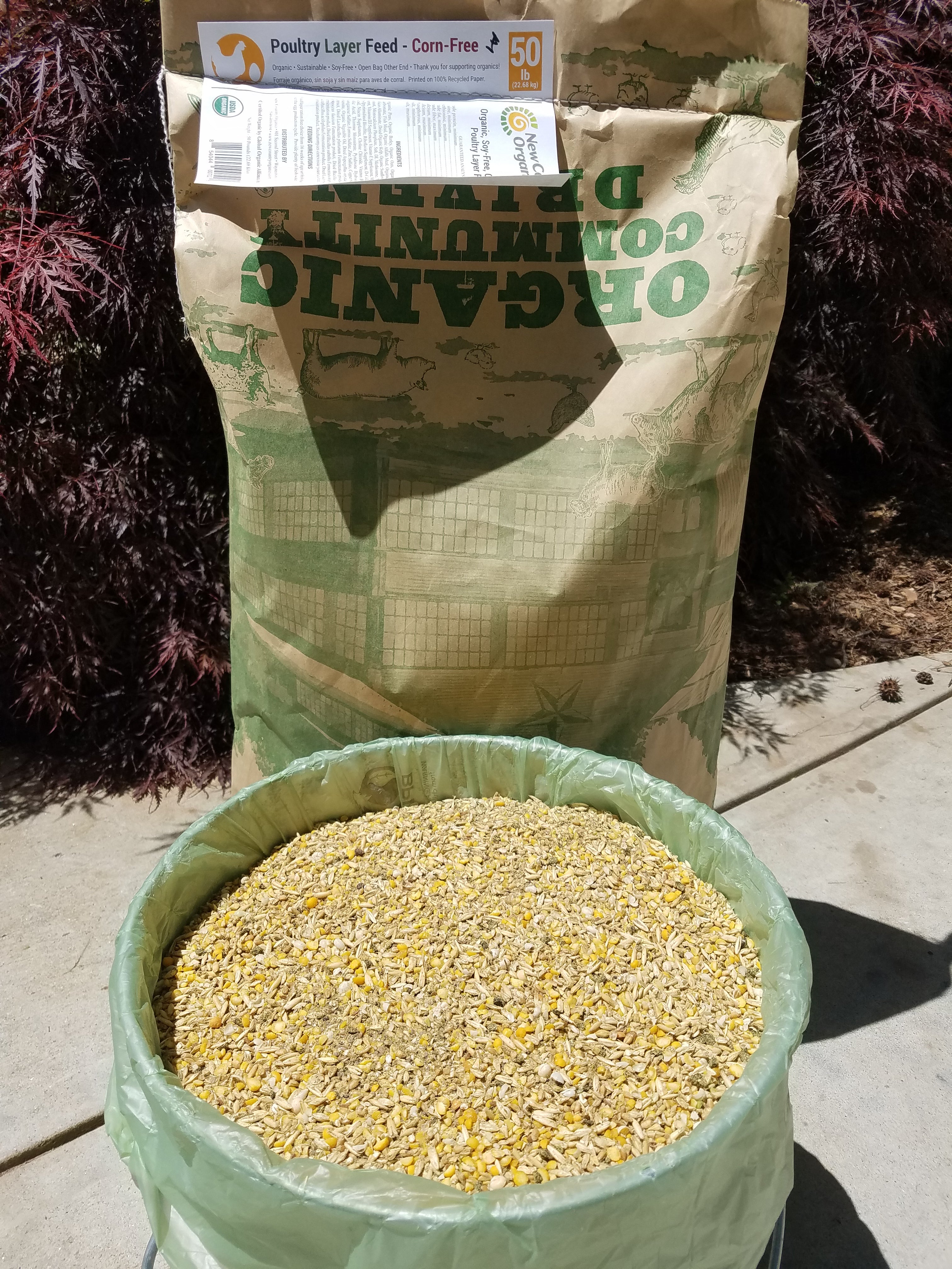 Flaxseed, 40lb from New Country Organics